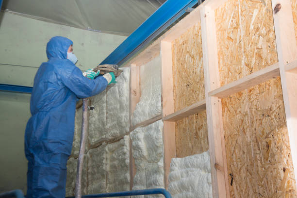 Best Commercial Insulation Contractor  in Woodland Park, CO