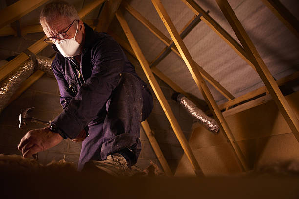 Garage Insulation Installation in Woodland Park, CO
